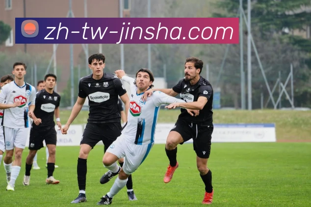 金沙官网平台生态图